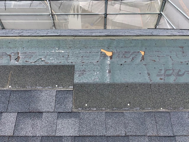 雨漏り修理もご相談ください